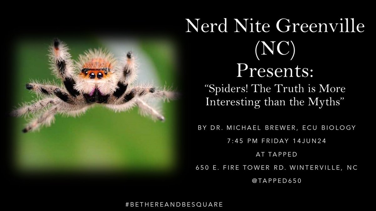 NerdNite252's tweet image. Hey @GreenvilleNC friends, @nerdnite  PGV is this Friday (14Jun24) @Tapped650. Come learn why spiders are the coolest animal from @ECU_Biology&apos;s @Prof_Brewer. #BeThereAndBeSquare