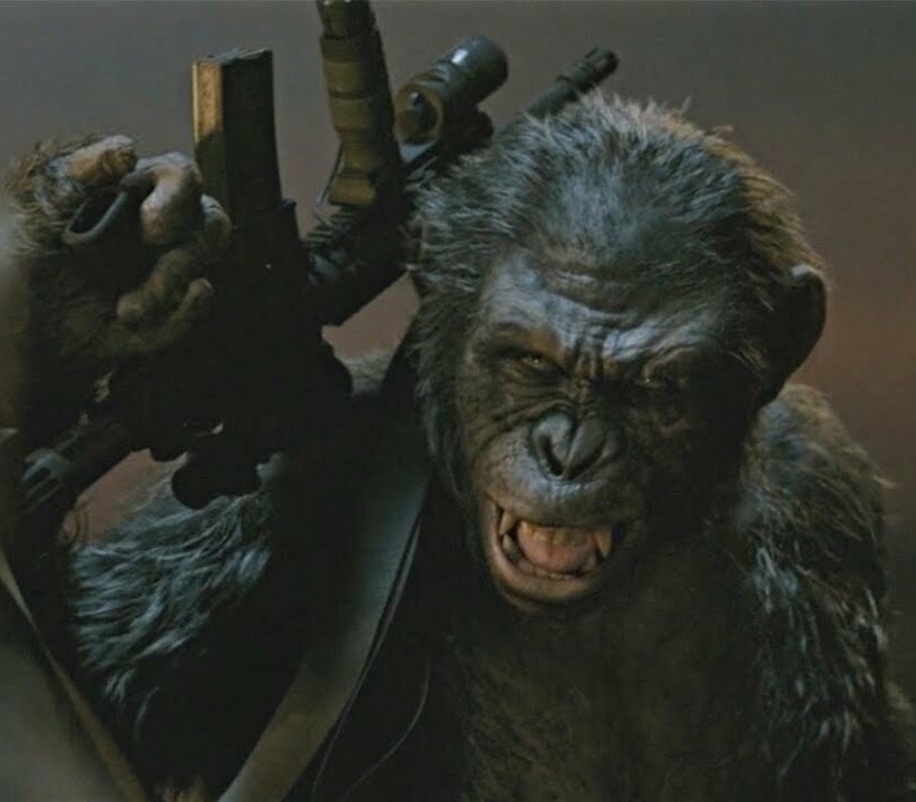 bigmonkeong's tweet photo. Koba will not appear in 'DEADPOOL &amp; WOLVERINE'

(Source: https://t.co/C76QzVSq3a…) https://t.co/X37aMLrKaq