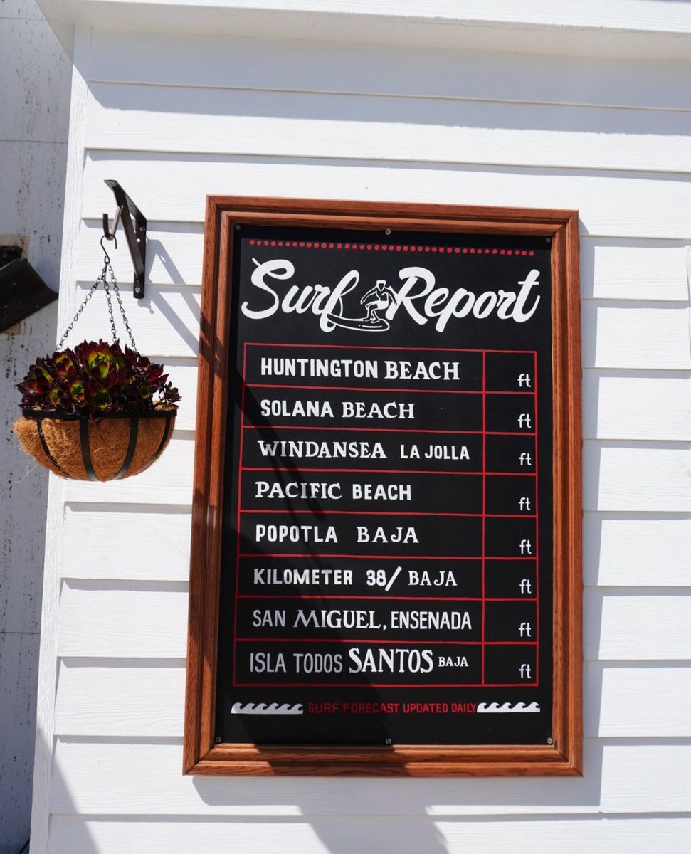 salsa_digital's tweet photo. It feels like summer at @lacorrientelajolla 🌴⁠
⁠
-⁠
#SalsaDigital #LaCorrienteTakesLaJolla https://t.co/NNez8oX7bc