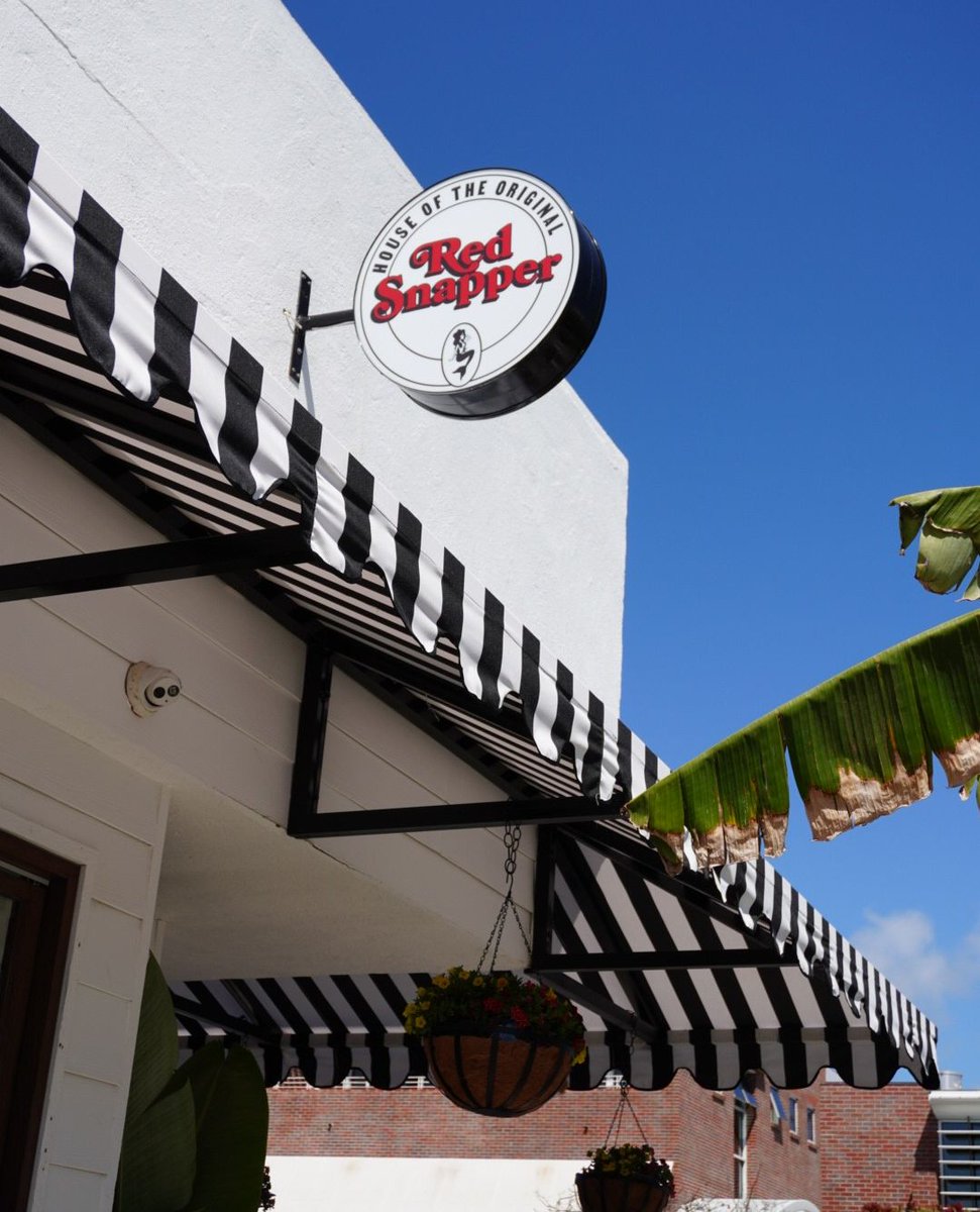 salsa_digital's tweet photo. It feels like summer at @lacorrientelajolla 🌴⁠
⁠
-⁠
#SalsaDigital #LaCorrienteTakesLaJolla https://t.co/NNez8oX7bc