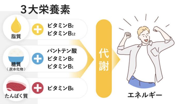 tatsuyatiro's tweet image. おはようございます。

タウリンは目の健康やストレス軽減に効果的！👁️💆‍♂️肝臓や心臓機能もサポート！🌿🍣食事やサプリメントで摂取しよう！ #タウリン #目の健康 #ストレス