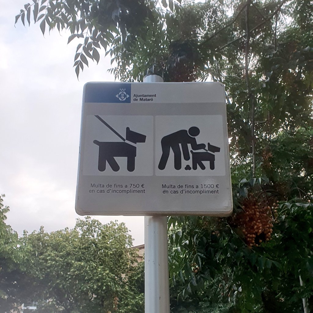 Alba Roca tweet media