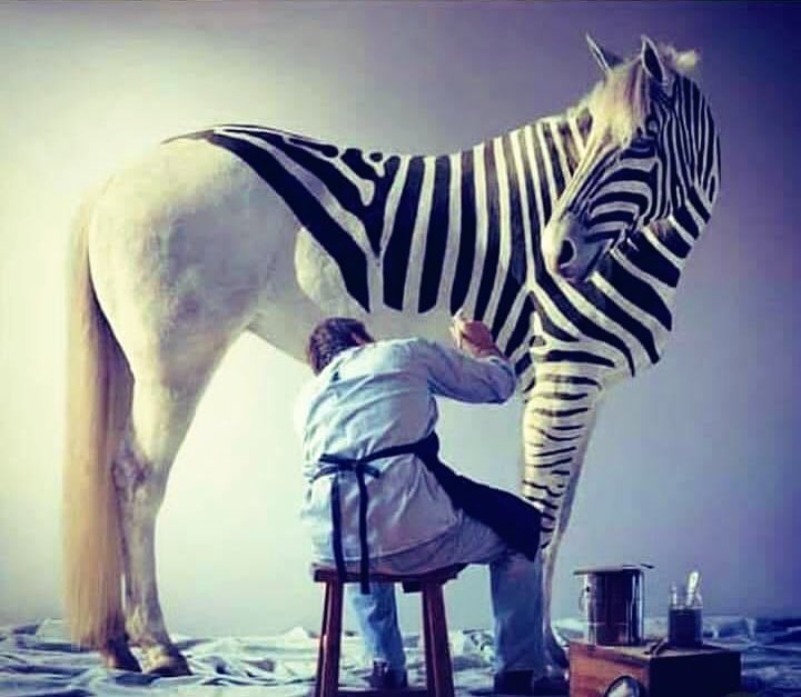 ؏ﺄبݛ ﺳﺒﯾݪ; ᐋ tweet media