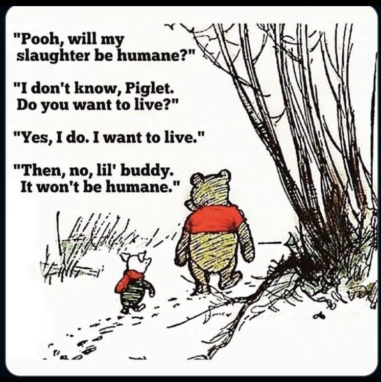 S_Catsgotmyback's tweet photo. People lose their minds when a 🐱 is kicked across a room or a 🐶 is abused in public, but when presented w the fact that we lower terrified pigs into gas chambers &amp; bolt gun helpless, entrapped animals in the head despite their obvious fear &amp; awareness of what is happening: 🙈🙉 https://t.co/NtgvweaYux