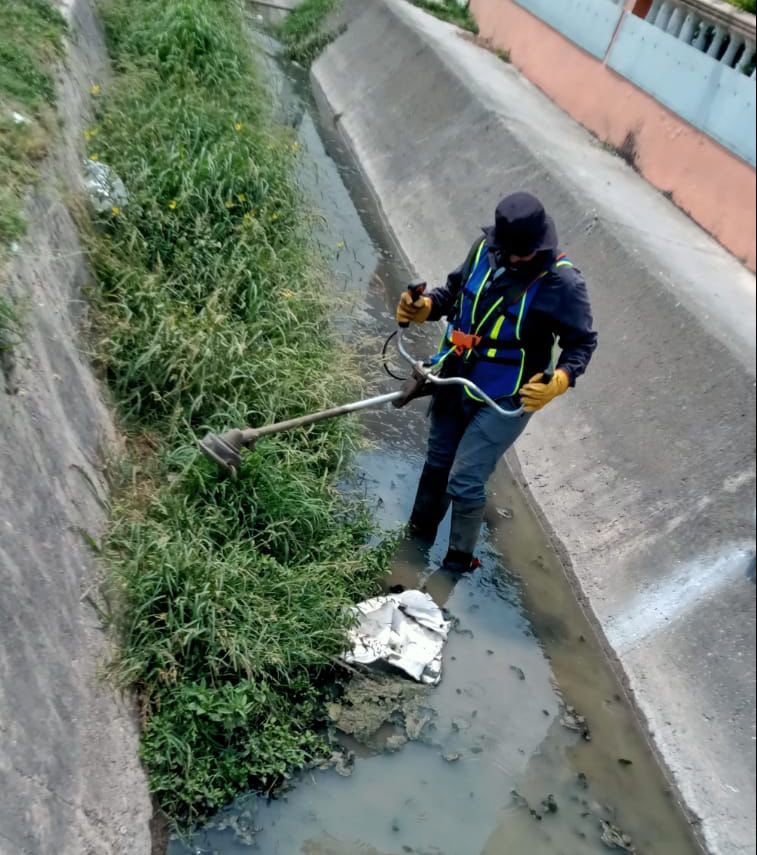 Secretaría de Servicios Públicos y Ecología tweet media