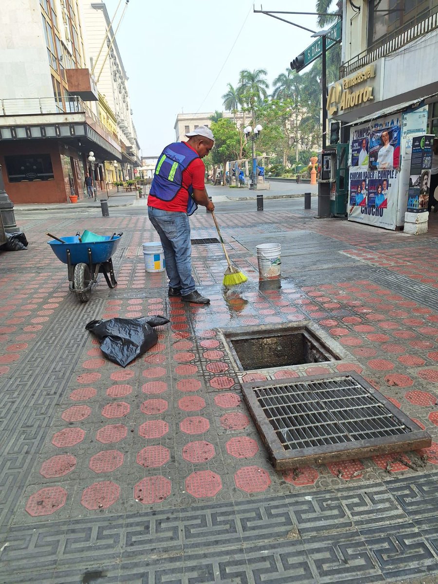 Secretaría de Servicios Públicos y Ecología tweet media