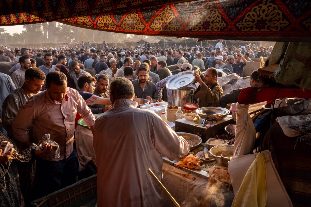 El Menofia, Egypt 2024
©Sahl Abdelrahman