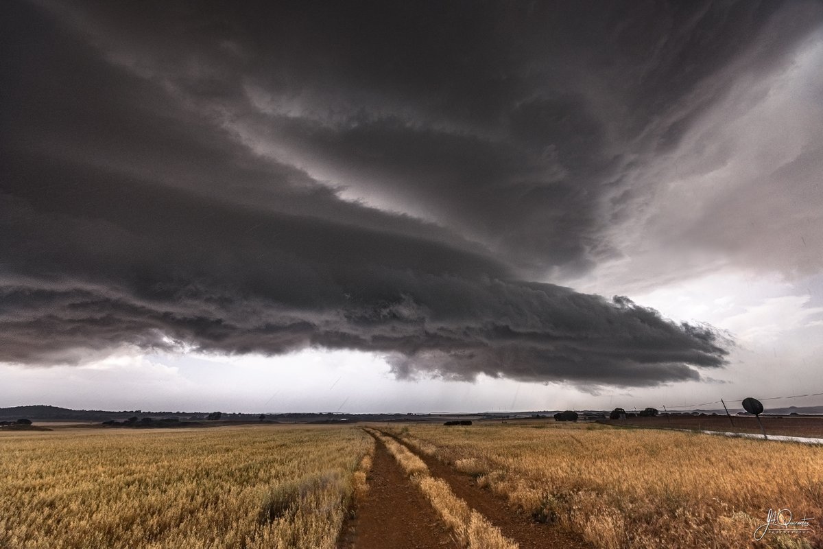 José Antonio Quirantes Calvo tweet media