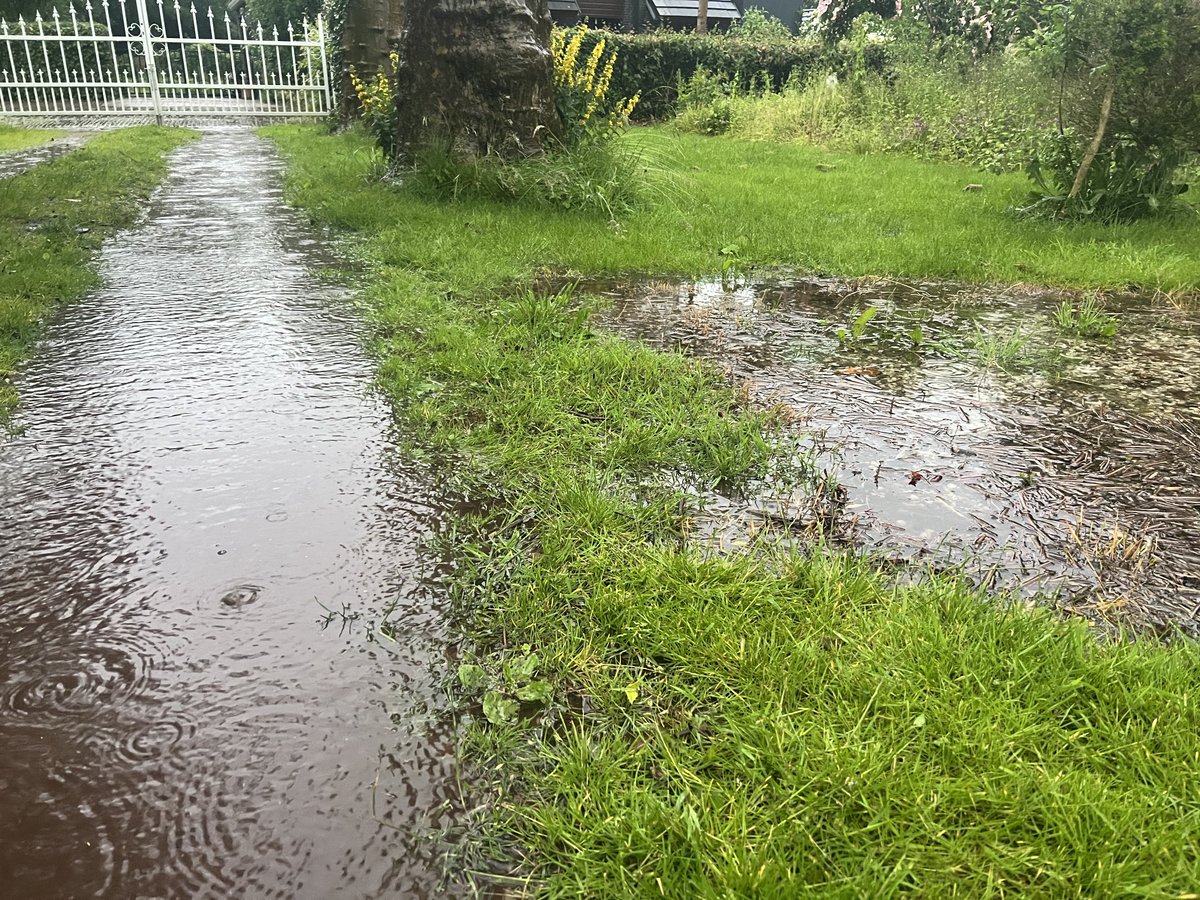 Eric Raad tweet media