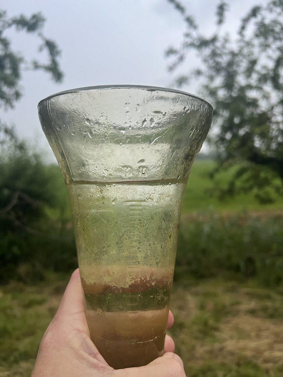 Eric Raad tweet media