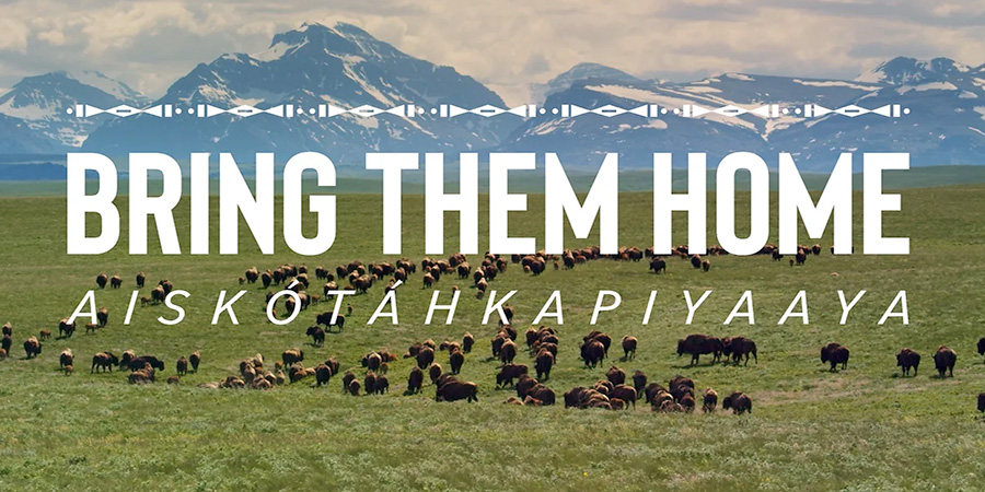 [Sponsored] Indigenous art takes center stage June 28 at @freestatefest. From a remix of silent film Daughter of Dawn by Tweesna Rose Mills, to a screening of Bring Them Home narrated by Lily Gladstone, the evening closes w/captivating performance by powwow vocalist <a href="/joeraineysr/">Joe Rainey</a>