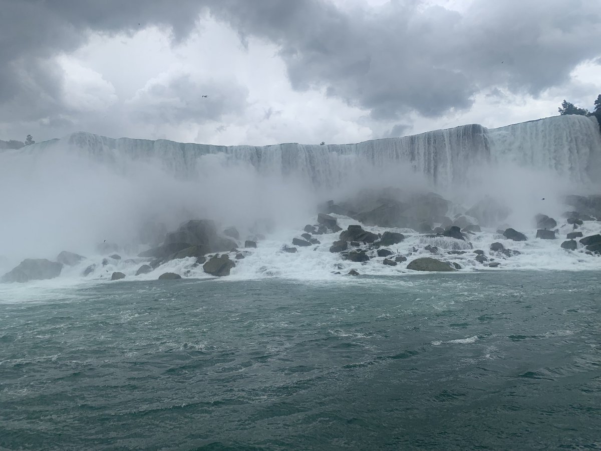 Conor Currie ✨ tweet media