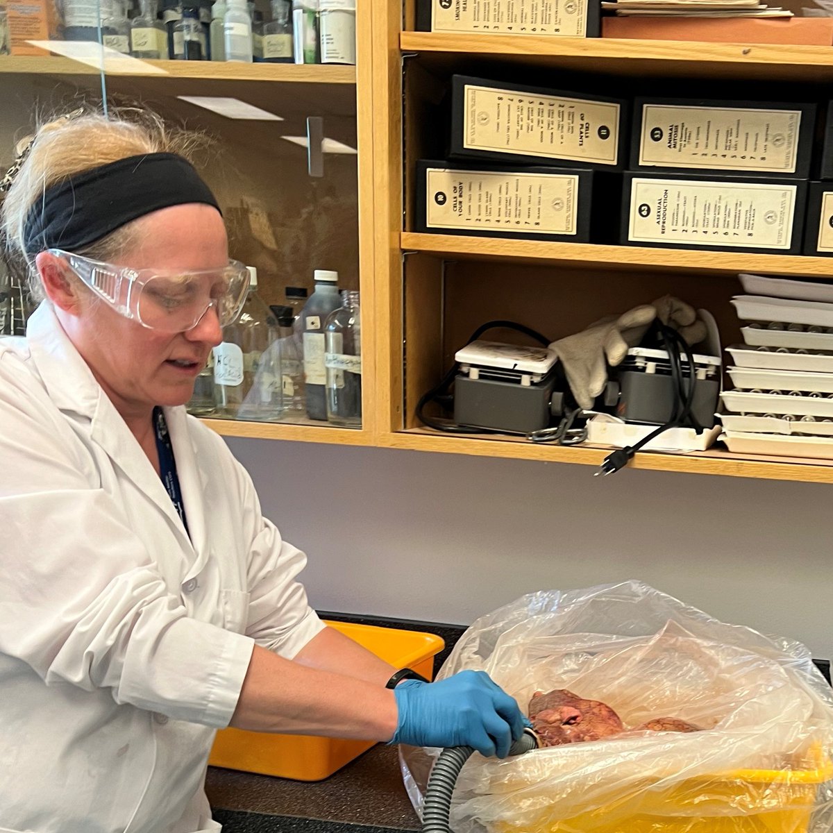 Fulton Secondary tweet media