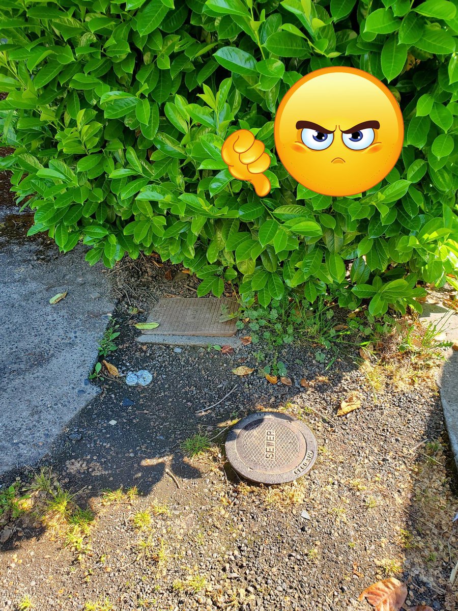 MyLongview's tweet image. Longview Residents let's maintain a 3-foot clearance around public devices! This ensures easy access for city workers and protects the equipment. Working together, we can keep our community running smoothly. 
#ClearPathways #CommunityEffort