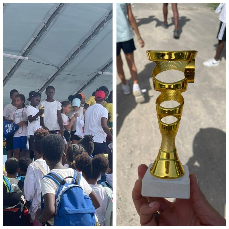 Circonscription de Trinité tweet media