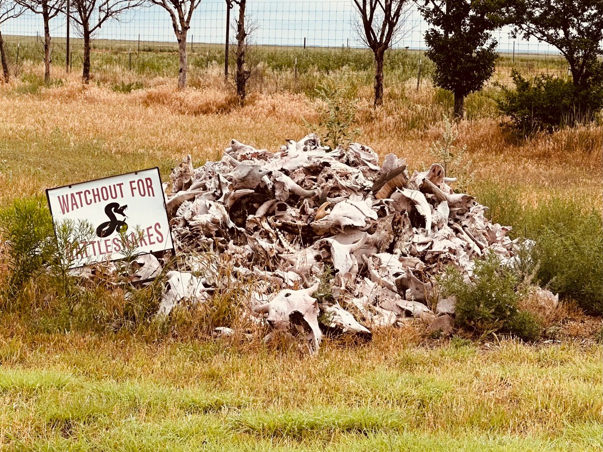 Seth Wieck tweet media