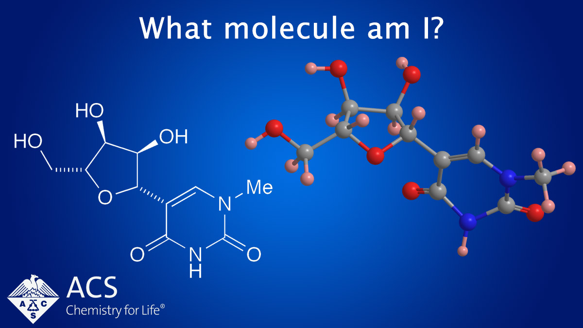 MOTW_ACS's tweet photo. I was a key player in the development of COVID-19 vaccines. What molecule am I? https://t.co/IndPzeJUl5 #MOTW_ACS #ACS #AmericanChemicalSociety https://t.co/K6U6tx8haC