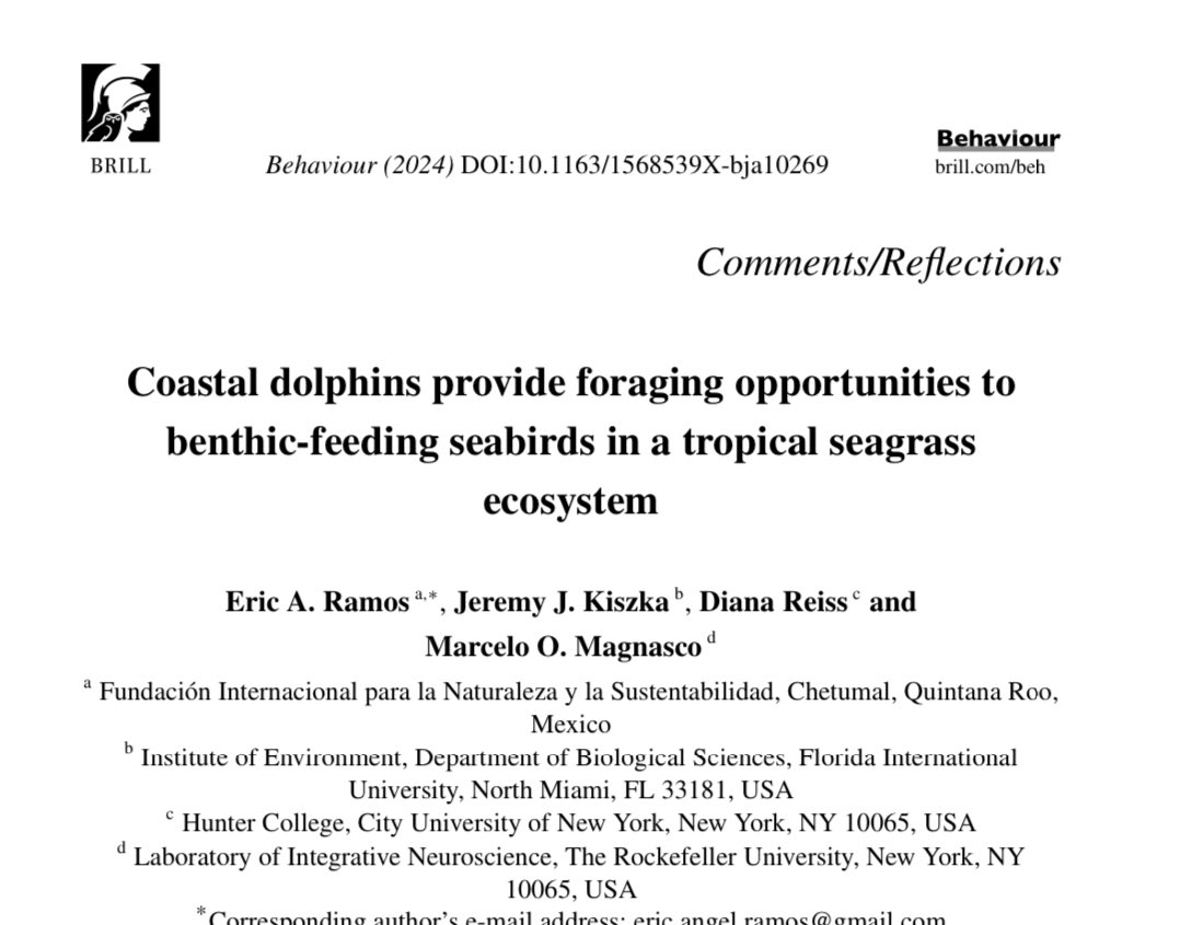 Eric Angel Ramos, PhD tweet media