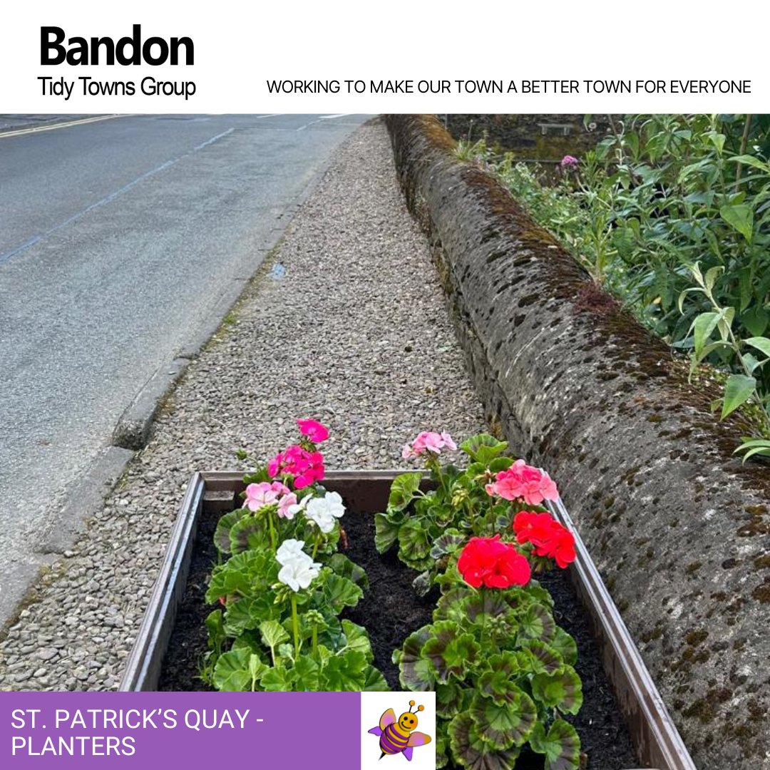 ttbandon's tweet photo. We have been busy as bees.....bringing some summer colour to #Bandon!

Thank you to our busy volunteers for your great work👏👏
#tidytowns #tidytowns24 https://t.co/h3a3MbDbBg