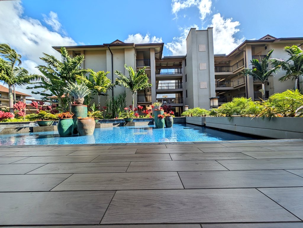 Haul Gaming tweet media