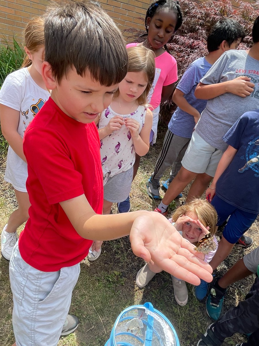 MTL_CS_Depetris's tweet photo. If you love something, set it free…
If it comes back, it was yours— If it never comes back, it never was!!🦋
#ThirdGradeThinkers
#CSTogetherIsBetter
#butterflylifecycle https://t.co/dRANIma40O