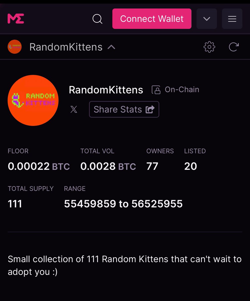 RandomKittens tweet media