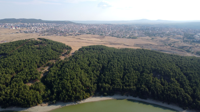 habercomsosyal's tweet photo. Edirne'de orman girişleri 15 Ekim'e kadar yasaklandı: İşte istisnai durumlar!
https://t.co/NBf76MkqKg
#Yasak #EdirneValiligi #Ormanlar #Giris https://t.co/ggJJNIhNPx