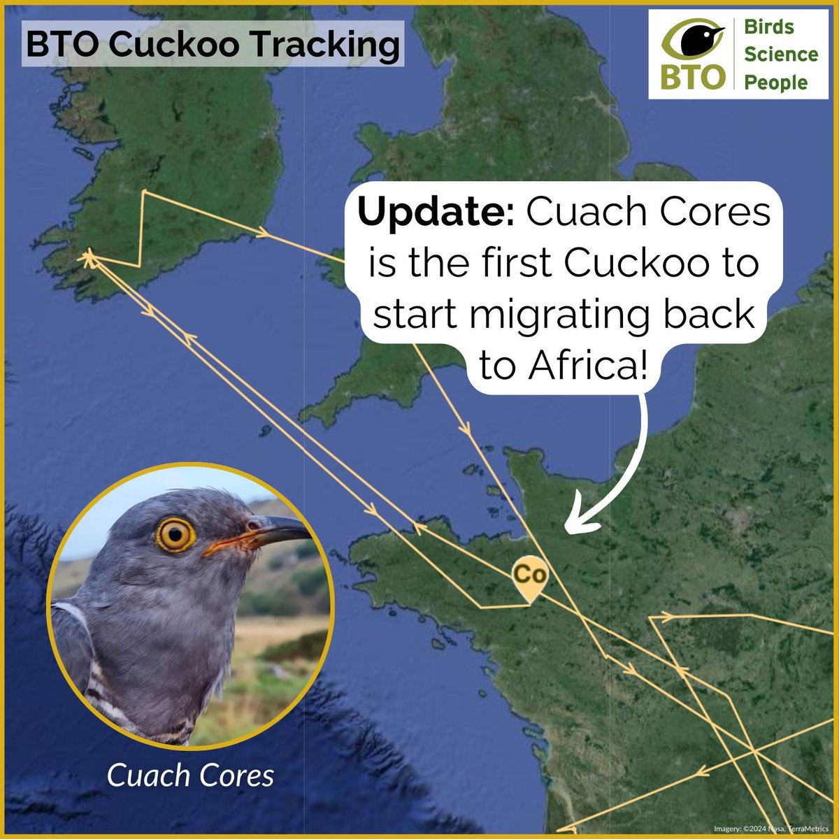 And they’re off 🎉 Cuckoo Cuach Cores has left Ireland &amp; started heading back to Africa after spending just 28 days in Ireland! 🌍 He was the last of our tagged Cuckoos to arrive back in his breeding grounds &amp; the first to leave. Follow his migration ➡️ bto.org/cuckoos