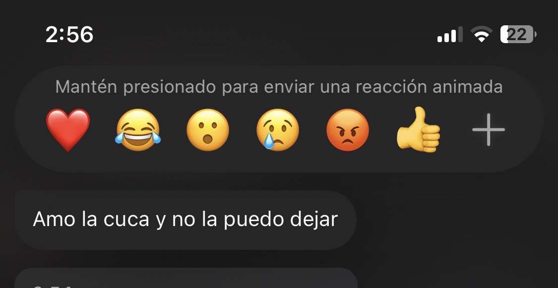 Daniela arévalo 🦋 tweet media