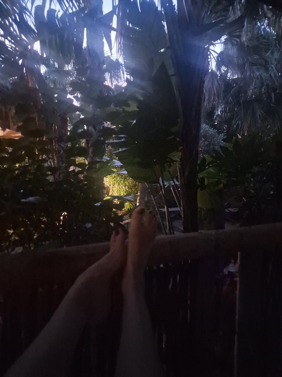 herrindie1's tweet photo. Abdrücken ist angesagt, mal sehen wer heute die meisten Amazon-Gutscheincodes an mich sendet 😎
#Finsub #findommiss #findomdrain #zahlschwein #moneyslave #findom #zahlschwanz #moneyslavesuisse #paypiggy #losers #lady #versager #zahlopfer #zahltrottel #Zahlsklave
@RTGermanFindom https://t.co/whhu3oQEUR