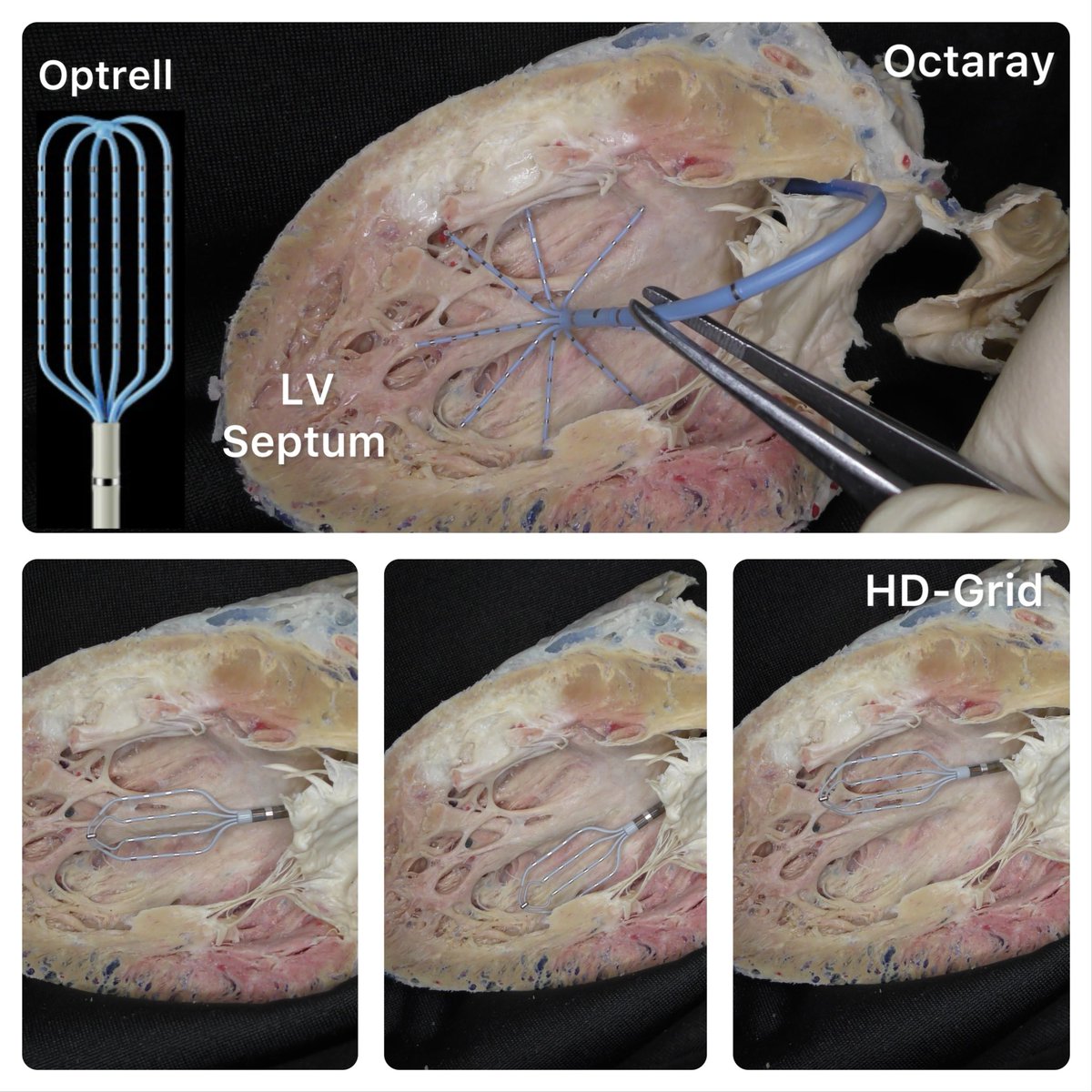 El Hamriti Mustapha tweet media