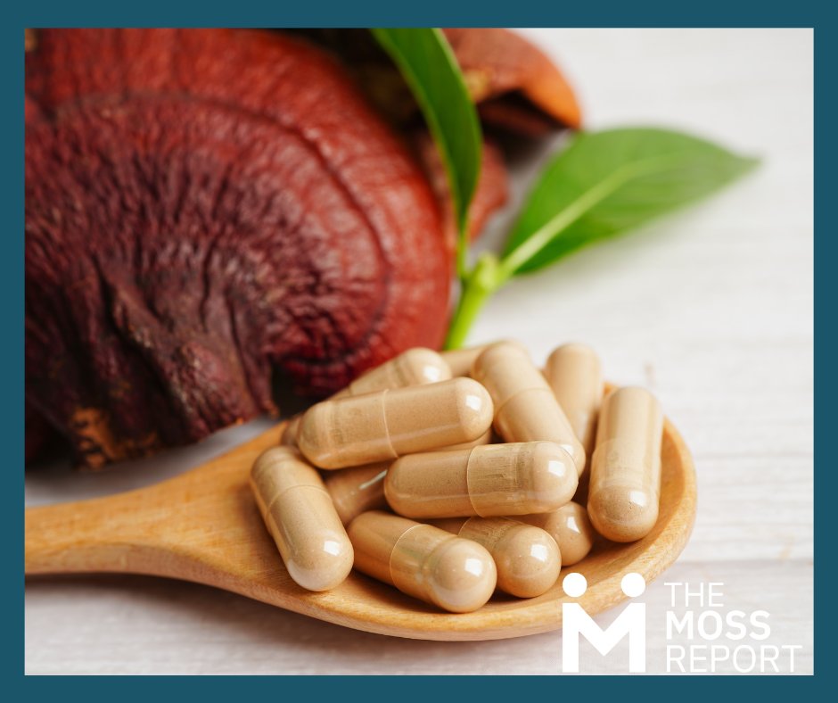 moss_report's tweet photo. Reishi mushroom has long been revered in traditional Chinese medicine for its ability to enhance vitality, boost immune function, and promote longevity. Learn more today: https://t.co/5ISZppRWIu https://t.co/ZIL8Sgma5v