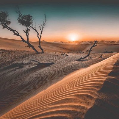 mnmr1's tweet photo. #NewProfilePic https://t.co/P395NLKFDN
