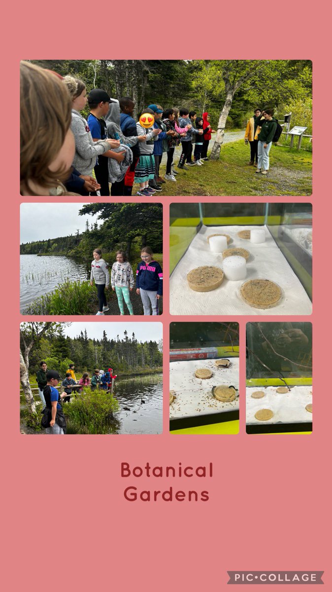 Ms. Burke tweet media