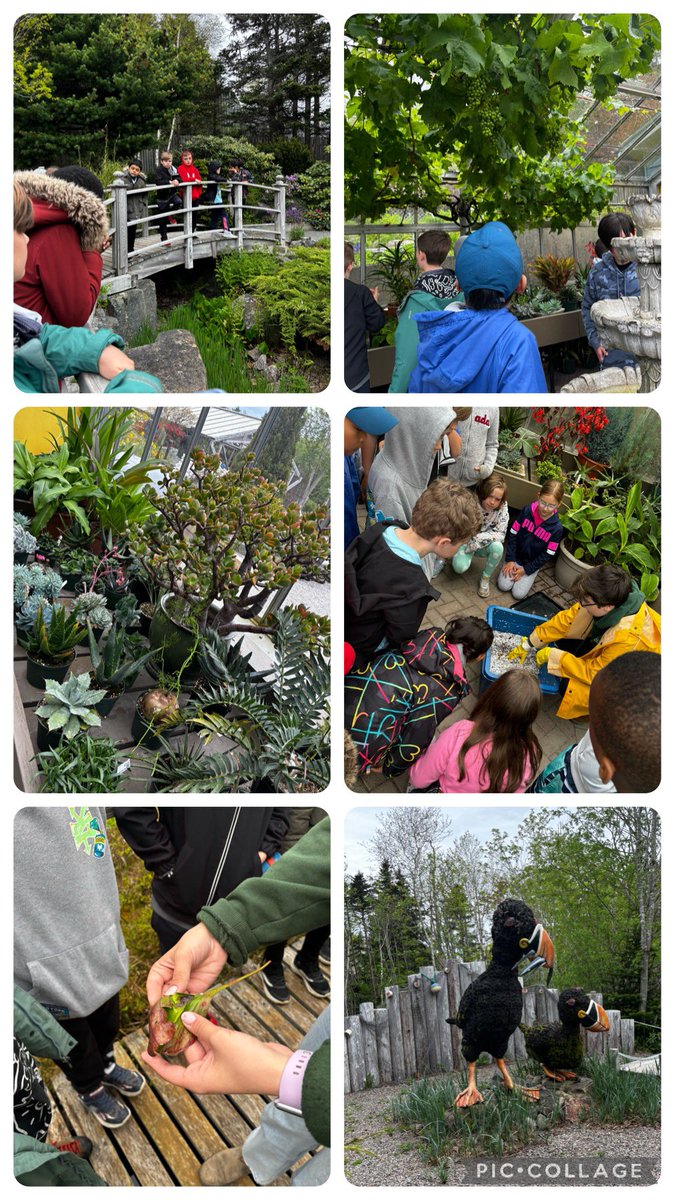 Ms. Burke tweet media