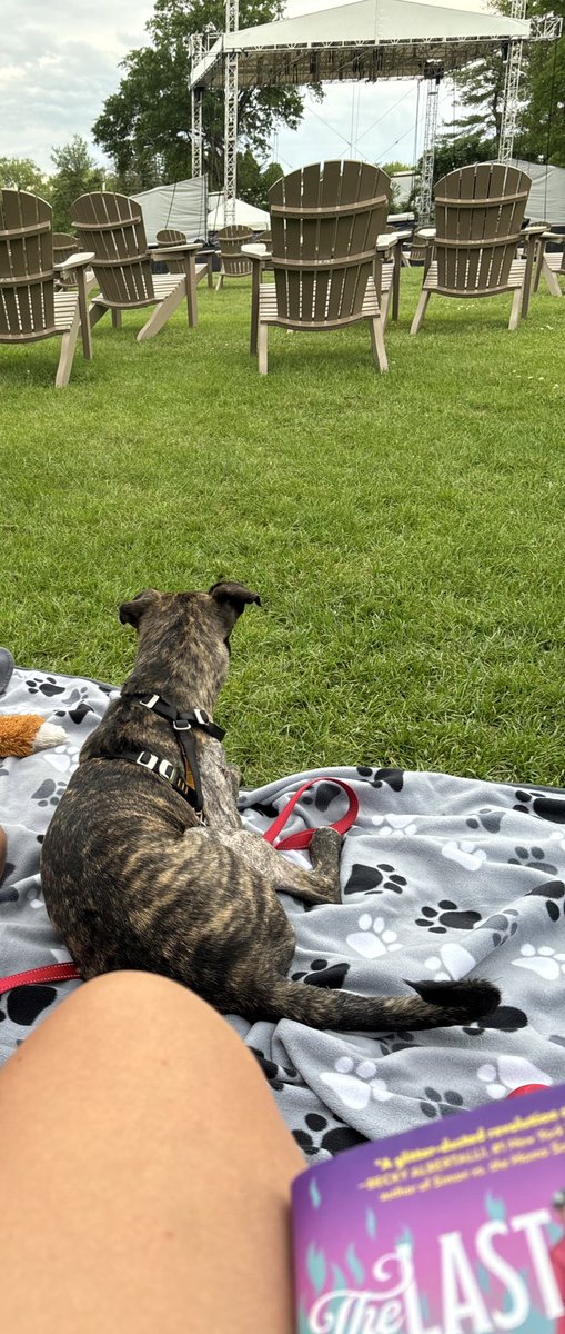 Sera Rivers (she/her) tweet media