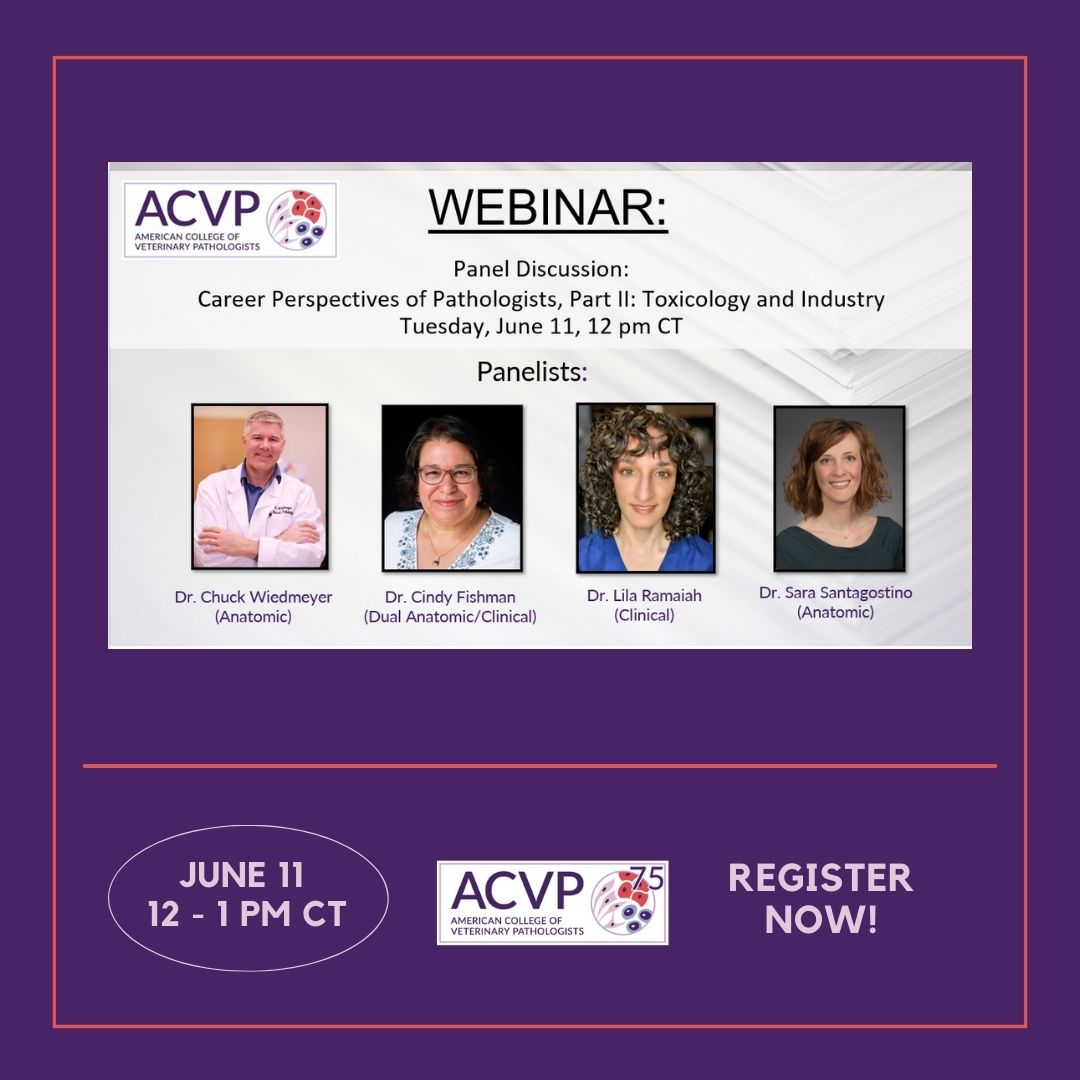ACVP's tweet photo. Join us TOMORROW for a live discussion of career paths in #ToxPath, with a panel of APs and CPs. The session will mostly take the format of Q&A, so attendees can ask questions about the field. #VetPath
Register now!
👉https://t.co/3xZ7ixG2Bf https://t.co/xZ8xcHiQ13