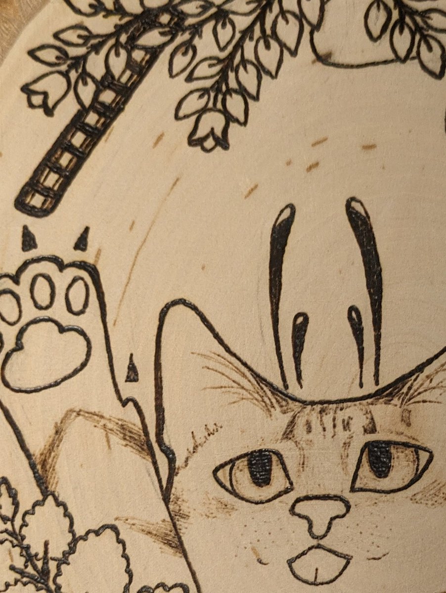MayBeeCreatures's tweet photo. WIP
I really love working on pet portraits. https://t.co/cfnbM7rXgK