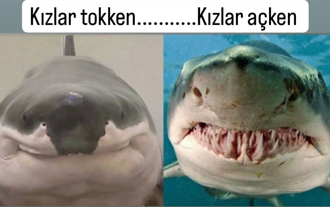 ahmet_thy's tweet photo. İnanılmaz fark..😄 https://t.co/quaAWAslY1