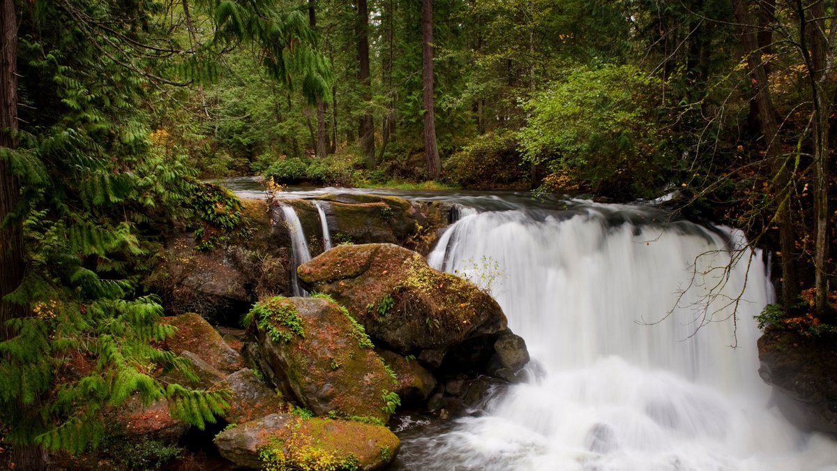 CreationCare's tweet image. Today&apos;s the 25th anniversary of the #Olympicpipeline rupture in Bellingham, WA. Since then, the community &amp;amp; @pstrust have been working tirelessly to improve #pipelinesafety. Let&apos;s honor their efforts by supporting @PHMSA_DOT &apos;s pipeline safety rule at creationcare.org/pipelines!