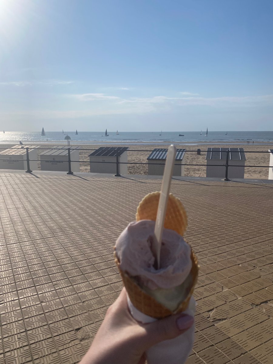 NiamhEsmonde's tweet photo. Wonderful week in Oostende, Belgium 🇧🇪 at the Innovocean campus for #Ecopath40 conference. Bruges was great too! Well done to the organisers and presenters it was an insightful conference 🌍🐠🦑🍻🧇 https://t.co/FcNrGsPlv8