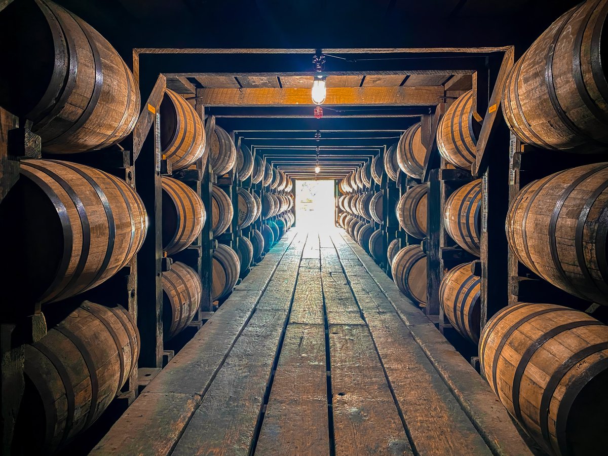 USTravel's tweet photo. Last year, @KentuckyTourism hit a record $14B in spending, creating over 95K jobs. 🥃 The #bourbon industry led the way, boosting local bars, restaurants & attractions.

Leaders from Northern Kentucky’s #travel industry highlight how this influx brings fresh eyes & new investments to the region: https://t.co/2Fpm2EpIt6