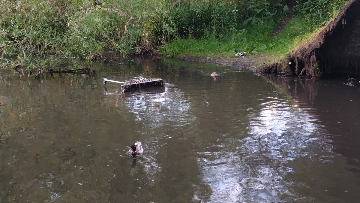 OurBellGreen's tweet photo. Personally, I prefer the river without #trolleys, though daresay the fish love it. We do seem to have an issue with trolley escapes in #BellGreen. I wonder if @AldiUK and @sainsburys could put in some more effort? #waterlinkway #se26 #litter #flytipping #riverpool #bellingham https://t.co/XtGv3mhvpe