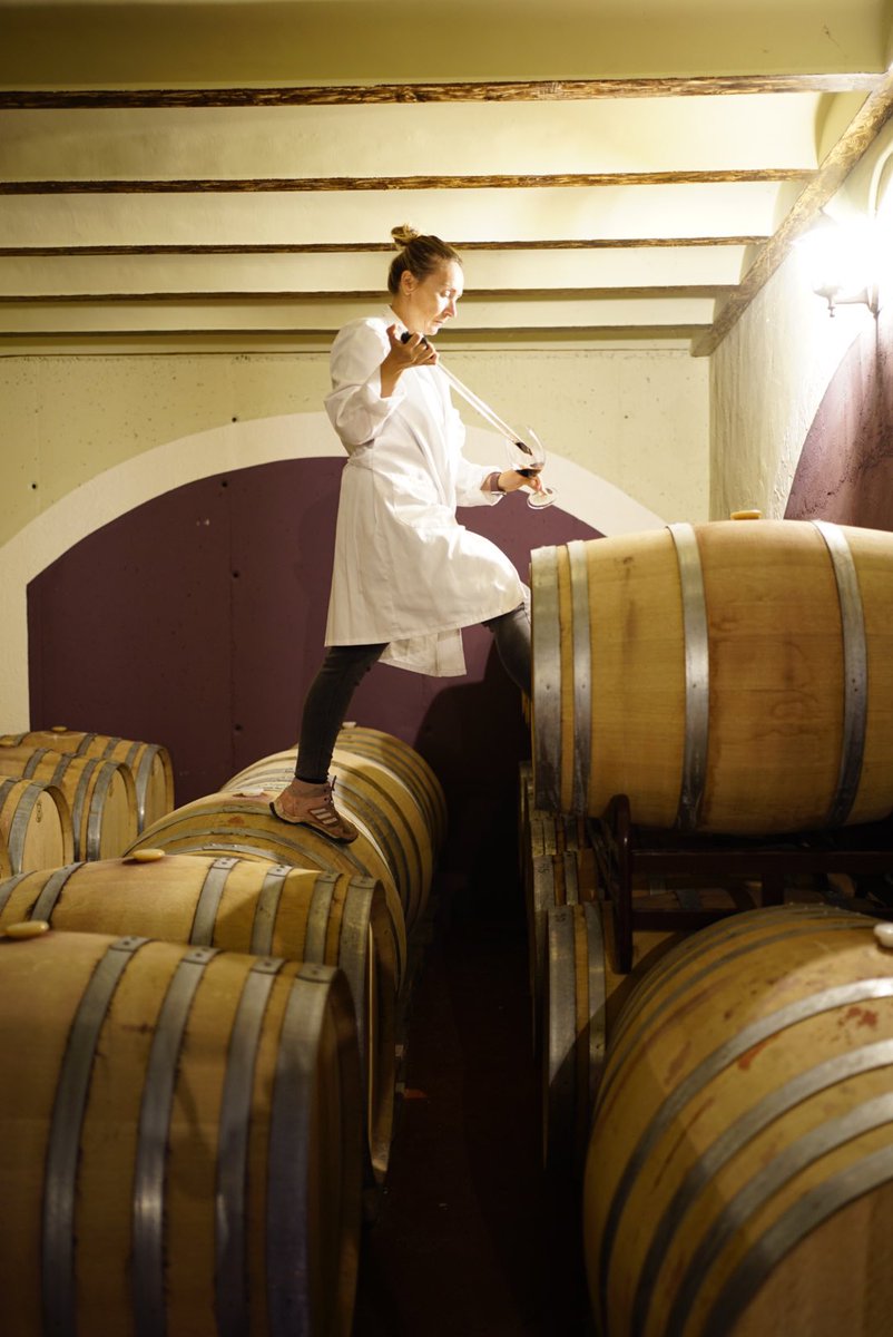 Hoy en #FincaMonastasia hemos realizado un muestreo de barricas con nuestra técnica de bodega Rocío Castillo. 
.
#vinosdejumilla #vinosdemurcia #wineislove #bodega #wine #redwine #dojumilla #vino