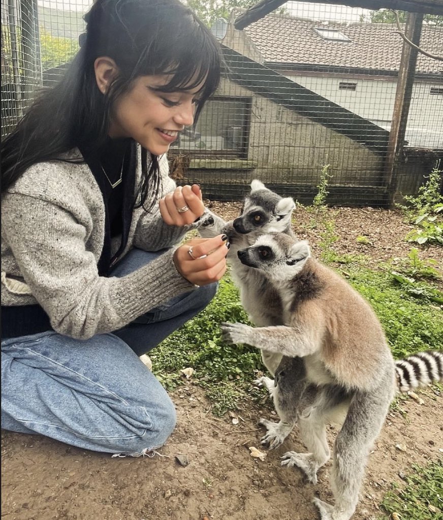 ariisweetest's tweet photo. mi alma gemela te amo jenna https://t.co/1fungwk7yh https://t.co/11OEZO0nAL
