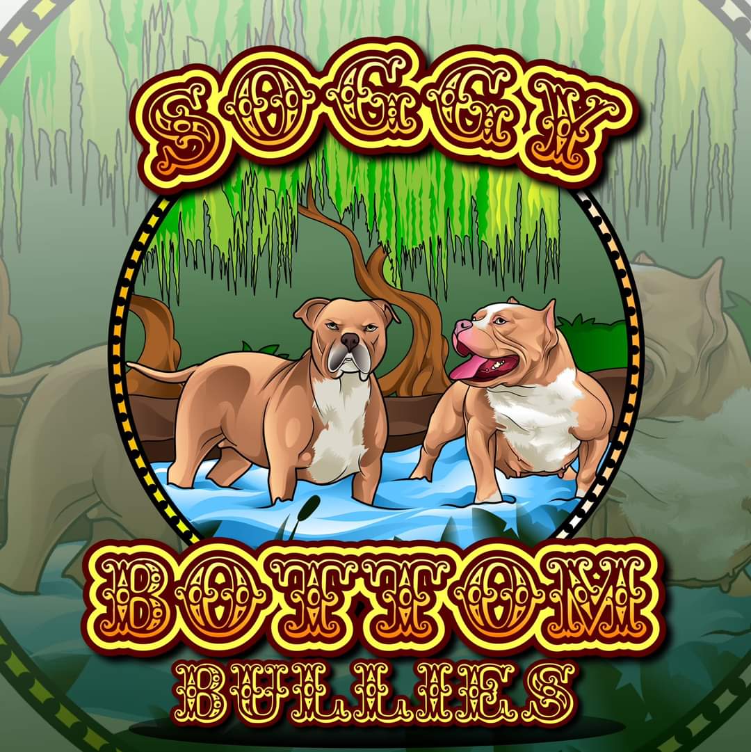 Stacy Andy tweet media