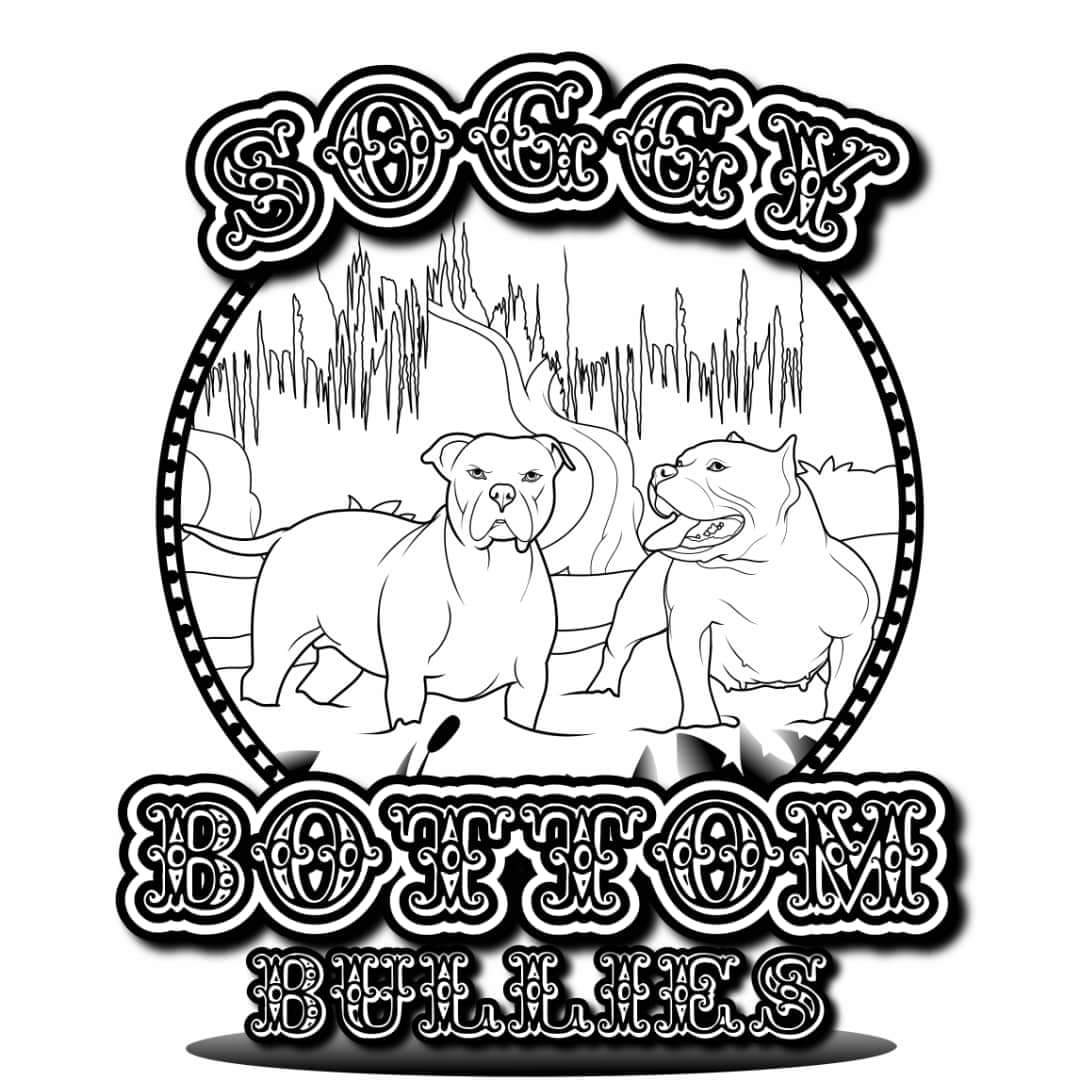 Stacy Andy tweet media