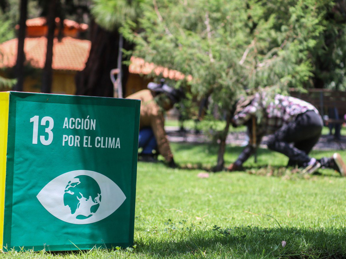 ConvencionesPue's tweet photo. En el marco del #DíaMundialDelMedioAmbiente, nos unimos a los Talleres de Sostenibilidad impartidos por el equipo de educación ambiental de @FlorDelBosque_. 🌿
¡Únete a la #GeneraciónRestauración y sé parte del cambio!
#ExpoVerde #AhorraTeTocaATi https://t.co/TUsT567cze