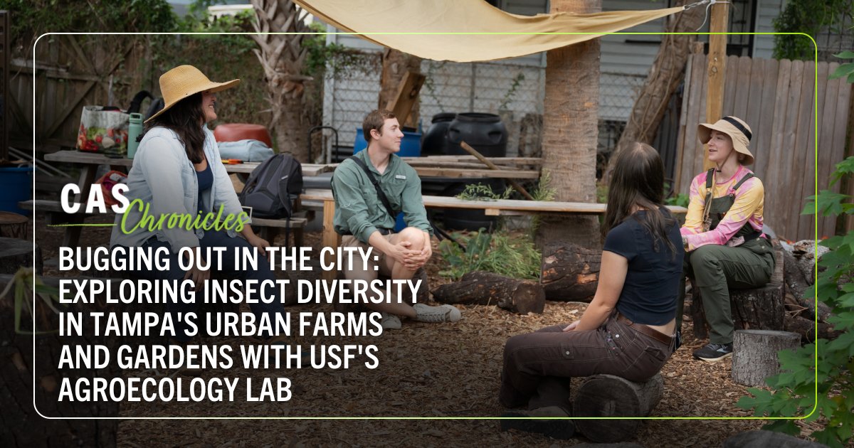 USF College of Arts and Sciences (@casatusf) on Twitter photo 🌿 In the latest #CASChronicles, we spoke with Dr. Estelí Jiménez-Soto about her study on insect biodiversity in urban farming through the USF Agroecology Lab! 🐞
Learn more about this study and the help it'll provide our local ecosystem ➡️ow.ly/Sa6e50SbMcx
<a href="/UGeosciences/">USF Geosciences</a> 🌿 In the latest #CASChronicles, we spoke with Dr. Estelí Jiménez-Soto about her study on insect biodiversity in urban farming through the USF Agroecology Lab! 🐞
Learn more about this study and the help it'll provide our local ecosystem ➡️ow.ly/Sa6e50SbMcx
<a href="/UGeosciences/">USF Geosciences</a>
