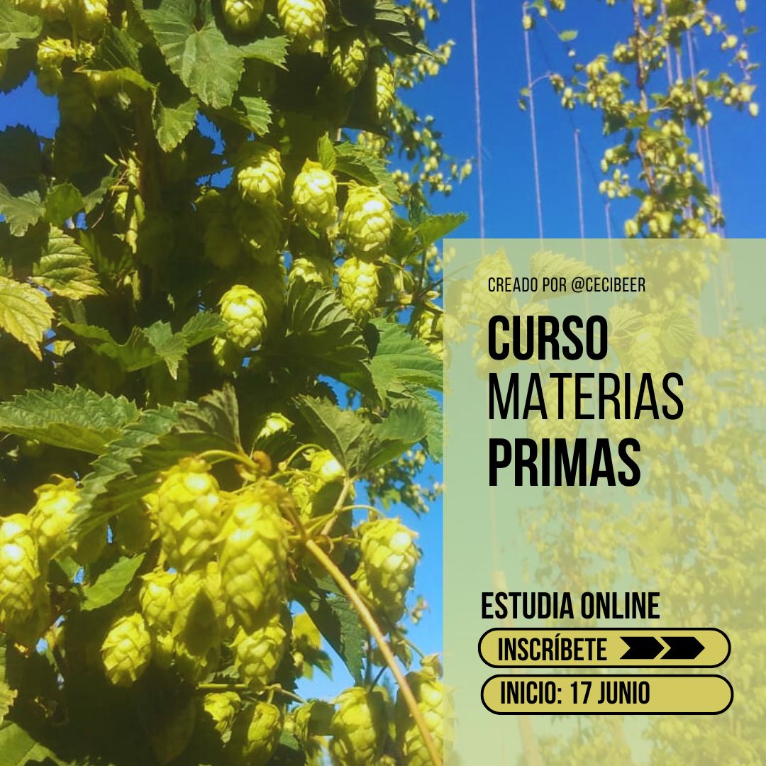 Revisa estos cursos y estudia a tu ritmo. Inversión: $20.000 c/u Contenido lúdico, preciso y muy útil si deseas ingresar al mundo de la cerveza artesanal, ya sea para elaborar o para apreciar mejor los brebaje. Pide info por mensaje interno
#cursosonline #cerveza #formación